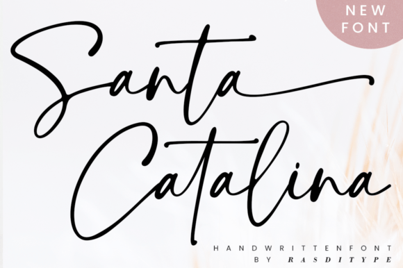 Santa Catalina: Elevating Design with Timeless Handwritten Elegance